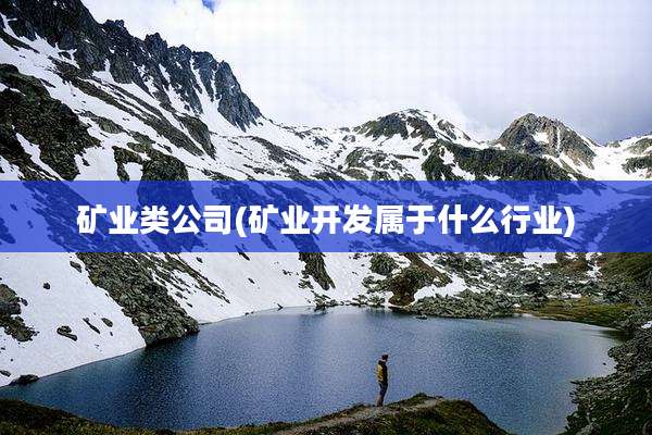 矿业类公司(矿业开发属于什么行业)
