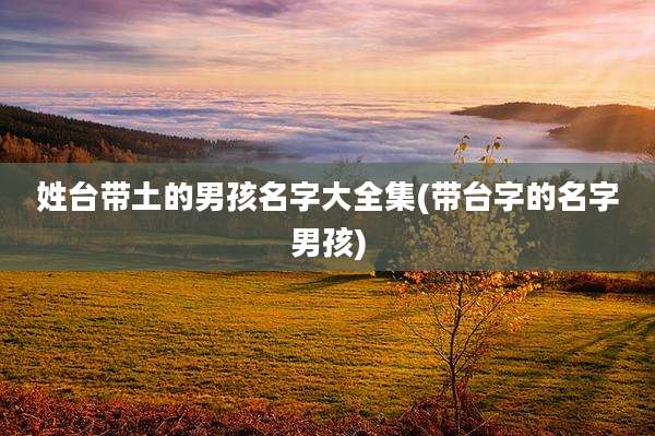 姓台带土的男孩名字大全集(带台字的名字男孩)