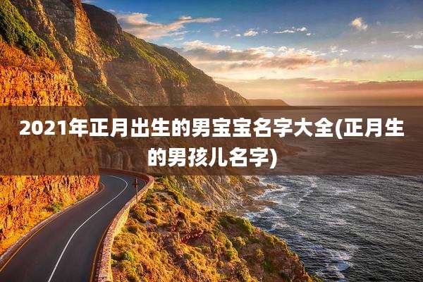 2021年正月出生的男宝宝名字大全(正月生的男孩儿名字)