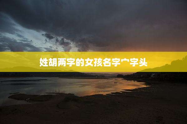 姓胡两字的女孩名字宀字头