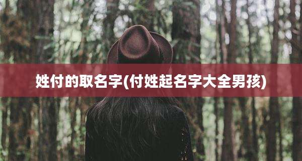 姓付的取名字(付姓起名字大全男孩)