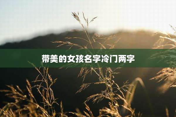 带美的女孩名字冷门两字
