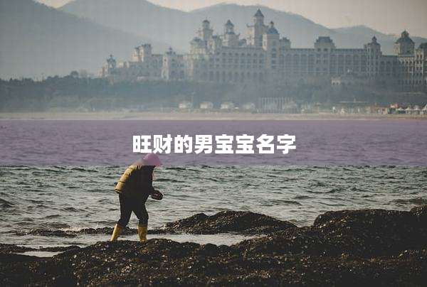 旺财的男宝宝名字