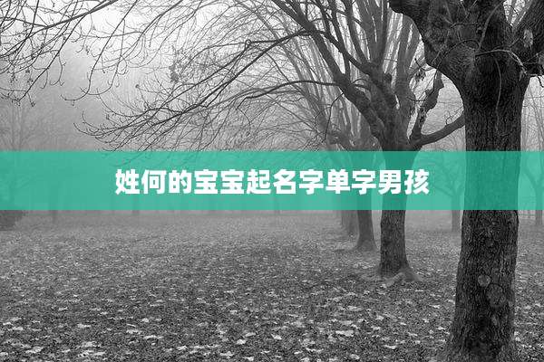 姓何的宝宝起名字单字男孩
