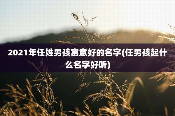 2021年任姓男孩寓意好的名字(任男孩起什么名字好听)