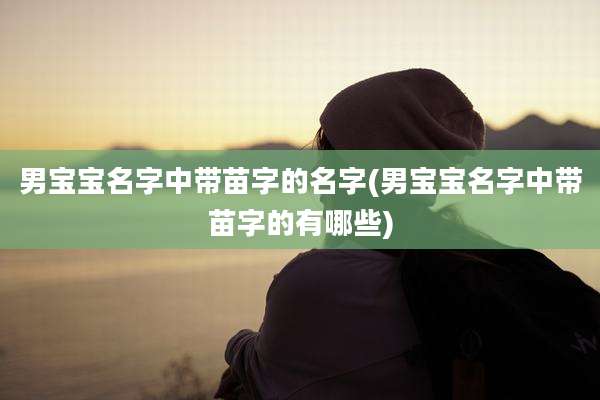 男宝宝名字中带苗字的名字(男宝宝名字中带苗字的有哪些)
