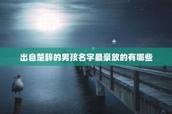 出自楚辞的男孩名字最豪放的有哪些