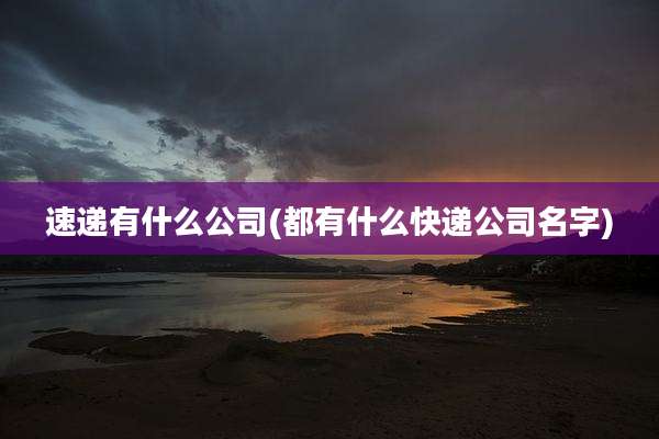 速递有什么公司(都有什么快递公司名字)
