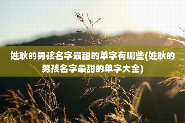 姓耿的男孩名字最甜的单字有哪些(姓耿的男孩名字最甜的单字大全)