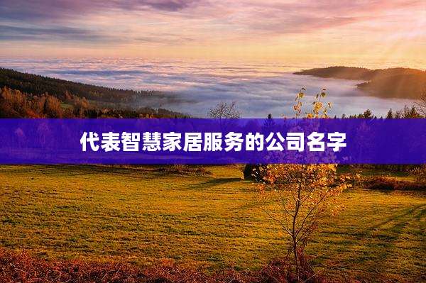 代表智慧家居服务的公司名字