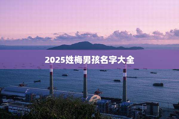2025姓梅男孩名字大全