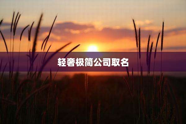 轻奢极简公司取名