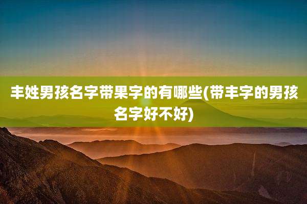 丰姓男孩名字带果字的有哪些(带丰字的男孩名字好不好)