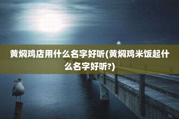 黄焖鸡店用什么名字好听(黄焖鸡米饭起什么名字好听?)