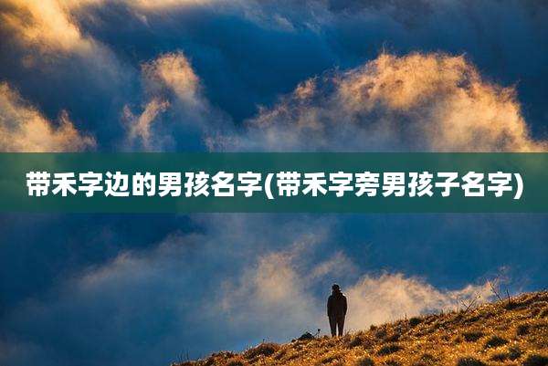 带禾字边的男孩名字(带禾字旁男孩子名字)
