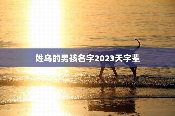 姓乌的男孩名字2023天字辈