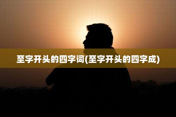至字开头的四字词(至字开头的四字成)