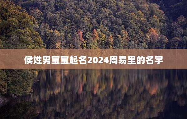 侯姓男宝宝起名2024周易里的名字