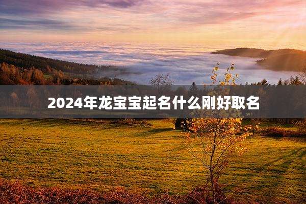2024年龙宝宝起名什么刚好取名