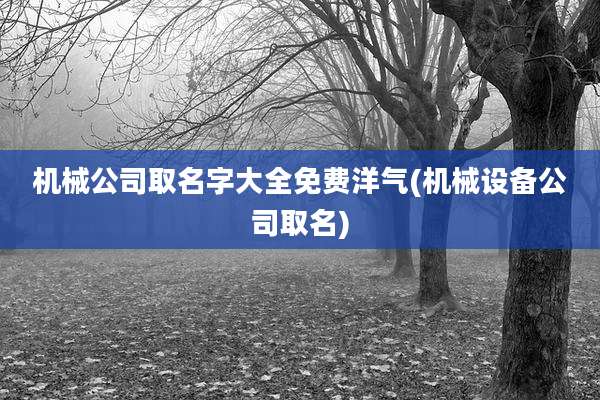 机械公司取名字大全免费洋气(机械设备公司取名)