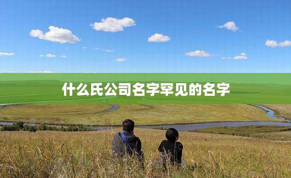 什么氏公司名字罕见的名字