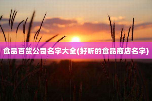 食品百货公司名字大全(好听的食品商店名字)