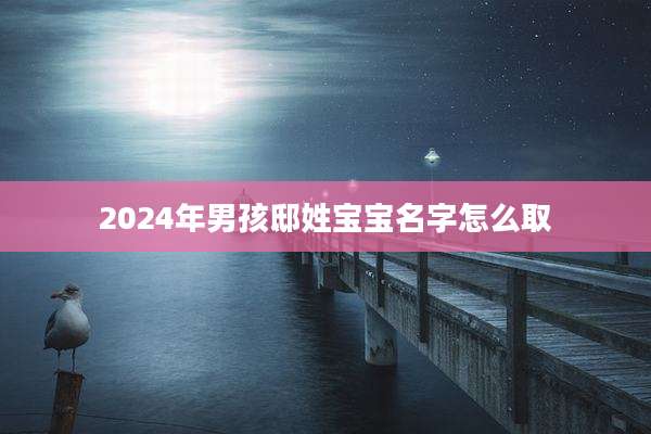2024年男孩邸姓宝宝名字怎么取