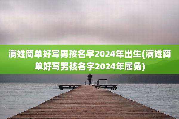 满姓简单好写男孩名字2024年出生(满姓简单好写男孩名字2024年属兔)