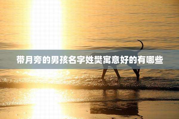 带月旁的男孩名字姓樊寓意好的有哪些