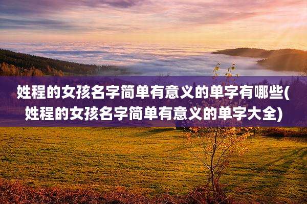 姓程的女孩名字简单有意义的单字有哪些(姓程的女孩名字简单有意义的单字大全)