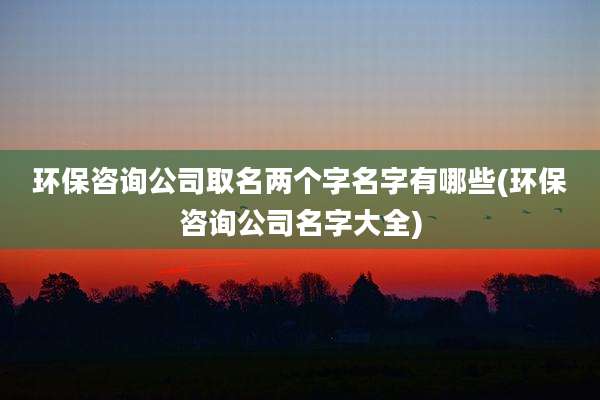 环保咨询公司取名两个字名字有哪些(环保咨询公司名字大全)