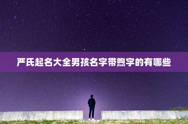 严氏起名大全男孩名字带煦字的有哪些