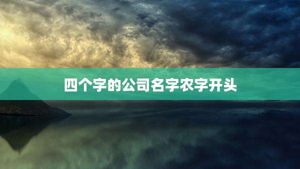 四个字的公司名字农字开头