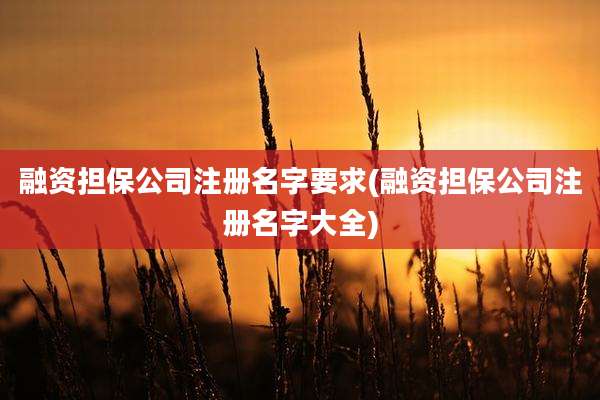 融资担保公司注册名字要求(融资担保公司注册名字大全)