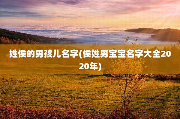 姓侯的男孩儿名字(侯姓男宝宝名字大全2020年)