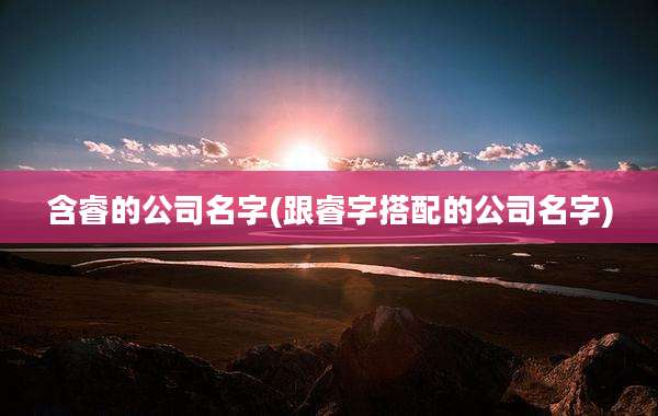 含睿的公司名字(跟睿字搭配的公司名字)
