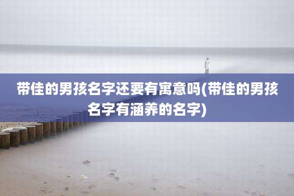 带佳的男孩名字还要有寓意吗(带佳的男孩名字有涵养的名字)