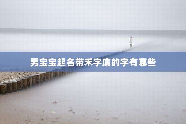 男宝宝起名带禾字底的字有哪些