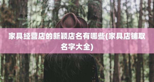 家具经营店的新颖店名有哪些(家具店铺取名字大全)
