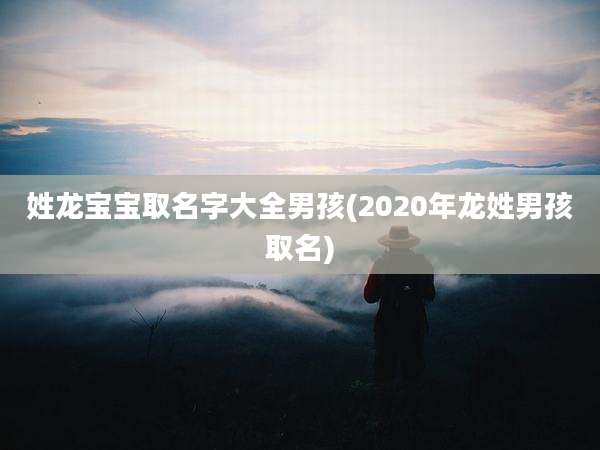 姓龙宝宝取名字大全男孩(2020年龙姓男孩取名)