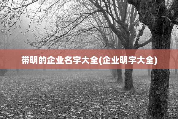 带明的企业名字大全(企业明字大全)