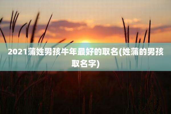 2021蒲姓男孩牛年最好的取名(姓蒲的男孩取名字)