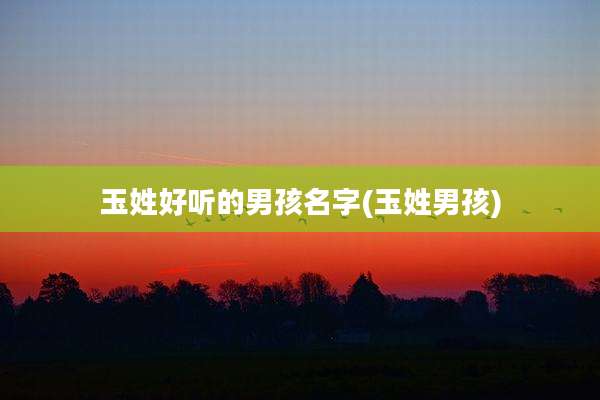 玉姓好听的男孩名字(玉姓男孩)