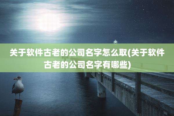 关于软件古老的公司名字怎么取(关于软件古老的公司名字有哪些)