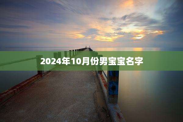 2024年10月份男宝宝名字