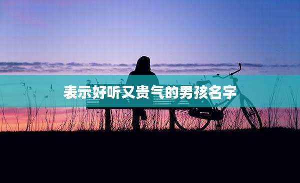 表示好听又贵气的男孩名字