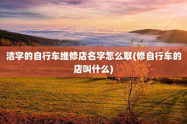 洁字的自行车维修店名字怎么取(修自行车的店叫什么)