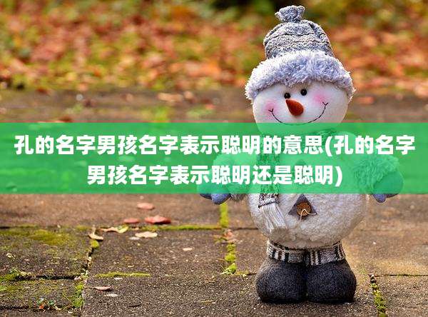 孔的名字男孩名字表示聪明的意思(孔的名字男孩名字表示聪明还是聪明)