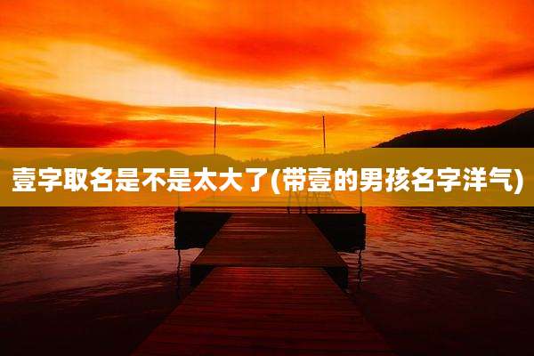 壹字取名是不是太大了(带壹的男孩名字洋气)