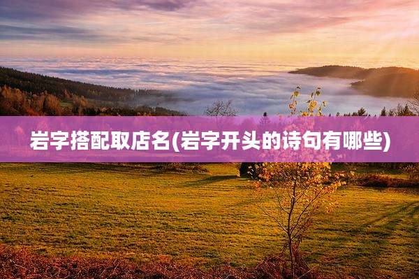 岩字搭配取店名(岩字开头的诗句有哪些)